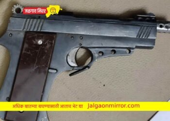 गावठी पिस्टल विक्री करणारे दोन अटकेत !