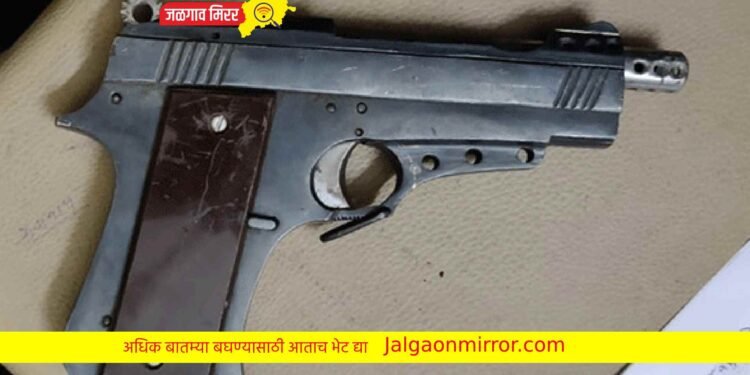 गावठी पिस्टल विक्री करणारे दोन अटकेत !