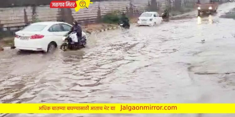 हवामान विभागाचा अंदाज ; जुलै महिन्यात असणार असा पाऊस !