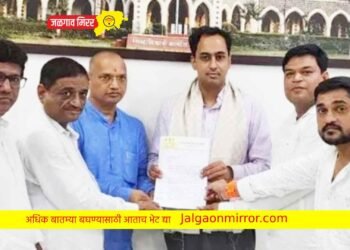 ‘या’ प्रकरणात जिल्हाधिकारींनी दिले तहसीलदारांना आदेश !