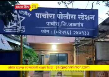 पोलिसांना फोन करीत वृद्ध दाम्पत्यांनी संपविले जीवन !