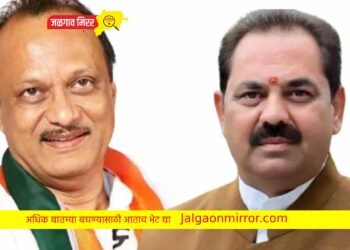 मोठी बातमी : अजित पवारांसह ‘या’ मंत्र्यांना मिळाले ‘हे’ खाते !