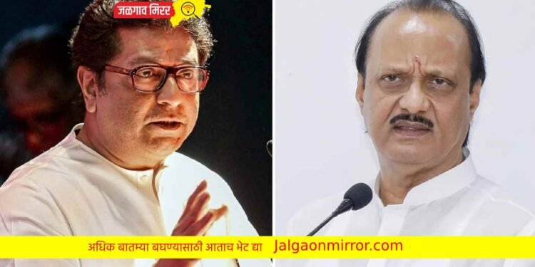 अजित पवार सत्तेत पण चर्चा राज ठाकरेंच्या वक्तव्याची !