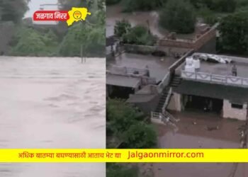 १२ राज्यात बरसणार पाऊस ; १० जणांचा मृत्यू !