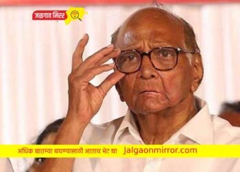 ब्रेकिंग : अजित पवारांच्या आमदारांनी घेतली सलग दुसऱ्यांदा शरद पवारांची भेट !