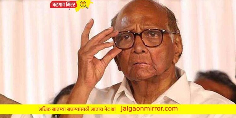 ब्रेकिंग : अजित पवारांच्या आमदारांनी घेतली सलग दुसऱ्यांदा शरद पवारांची भेट !