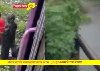 हृदयद्रावक : ४ महिन्याचा तान्हुले हातातून निसटले अन नाल्यात गेले वाहून !