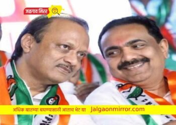 जयंत पाटलांची पदावरून अजित पवारांनी केली हकालपट्टी !