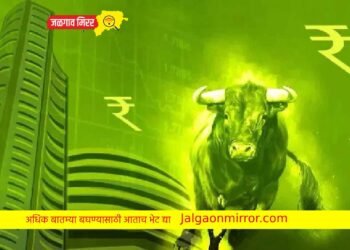 ‘या’ शेअरने ग्राहकांना दिला मोठा परतावा !