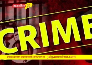 जिल्ह्यातील तोतया वनअधिकारी पोलिसांच्या जाळ्यात !