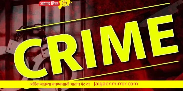 जिल्ह्यातील तोतया वनअधिकारी पोलिसांच्या जाळ्यात !