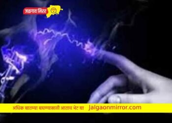 दुर्देवी : ३ वर्षीय मुलीला विद्युत शॉक लागून मृत्यू !