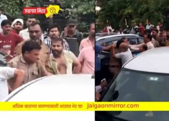 कर्तव्यावर असलेल्या पोलिसासह डॉक्टरला बेदम मारहाण !