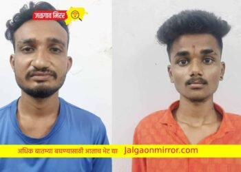 मेहरूण ट्र्कवर लूट प्रकरणी ; दोन ताब्यात !