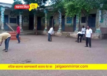 जि.प.शाळेत रयत सेनेच्यावतीने राबविले गेले स्वच्छता अभियान !