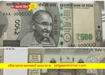 जिल्ह्यात आल्या ५०० रुपयांच्या बनावट नोटा ; दोन अटकेत !