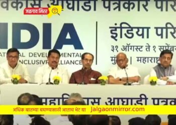 पंतप्रधान पदासाठी आमच्याकडे खूप पर्याय ; उद्धव ठाकरेंनी भाजपला सुनावले !