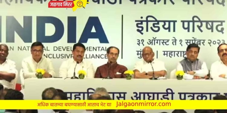 पंतप्रधान पदासाठी आमच्याकडे खूप पर्याय ; उद्धव ठाकरेंनी भाजपला सुनावले !