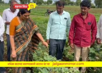 बोगस खतांमुळे पिकांच्या झालेल्या नुकसानीची रोहिणी खडसे यांनी केली पाहणी