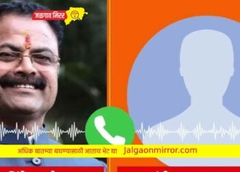 ऑडिओ क्लिपने खळबळ : आ.किशोर पाटलांनी केली पत्रकाराला शिवीगाळ !