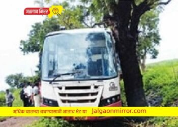जिल्ह्यात बस उतरली रस्त्याच्या खाली सुदैवाने टेकली झाडाला !