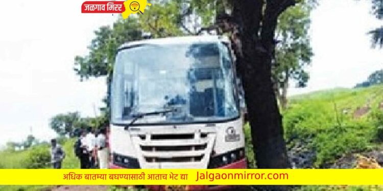 जिल्ह्यात बस उतरली रस्त्याच्या खाली सुदैवाने टेकली झाडाला !