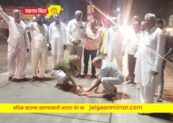 कॉंग्रेस नेते राहुल गांधींना दिलासा ; अमळनेरात कार्यकर्त्यांनी फोडले फटाके !