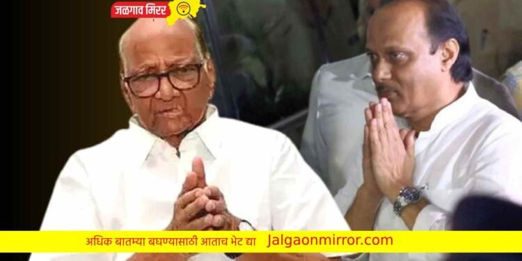 खान्देशात शरद पवार गटाला फटका : बड्या नेत्याने दिला राजीनामा !