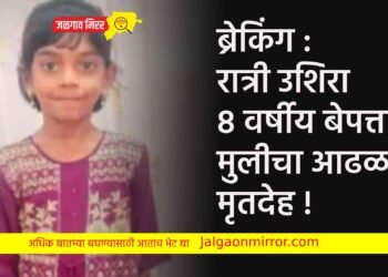 ब्रेकिंग : रात्री उशिरा ८ वर्षीय बेपत्ता मुलीचा आढळला मृतदेह !
