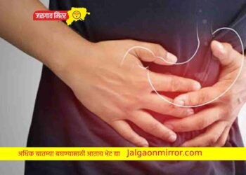 ‘या’ पाच डाळ बनवतील तुमच्या पोटात गॅस !
