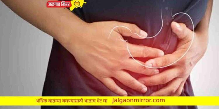 ‘या’ पाच डाळ बनवतील तुमच्या पोटात गॅस !