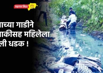 दुधाच्या गाडीने दुचाकीसह महिलेला दिली धडक !