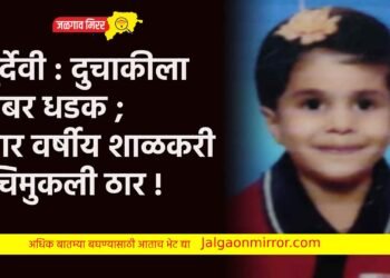 दुर्देवी : दुचाकीला जबर धडक ; चार वर्षीय शाळकरी चिमुकली ठार !