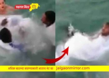 प्री वेडिंग शूट दरम्यान नदीवर घडल ; धक्का देणारा व्हिडीओ !