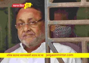 मोठी बातमी : राष्ट्रवादीचे नेते नवाब मलिक यांना जामीन !