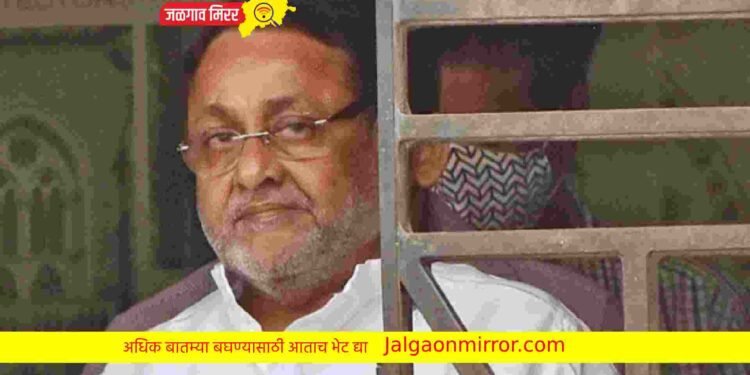 मोठी बातमी : राष्ट्रवादीचे नेते नवाब मलिक यांना जामीन !