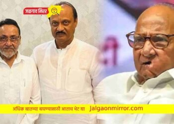 नवाब मालिकांचे ठरले ‘या’ गटात होणार सक्रीय !