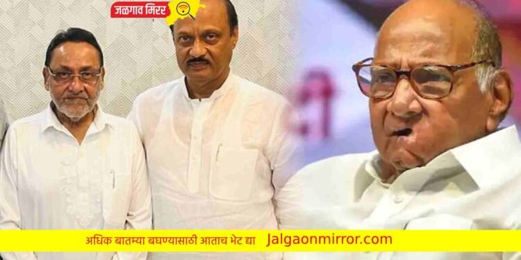 नवाब मालिकांचे ठरले ‘या’ गटात होणार सक्रीय !