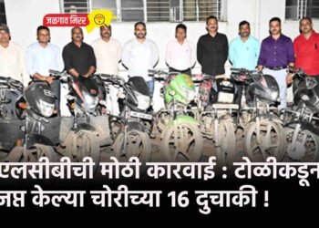 एलसीबीची मोठी कारवाई : टोळीकडून जप्त केल्या चोरीच्या १६ दुचाकी !