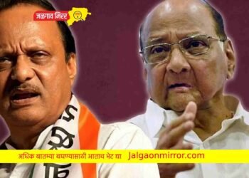 पवारांच्या दोन्ही गटात जुंपली ; थेट शरद पवारांवर टीका !