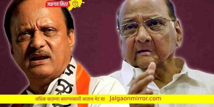 पवारांच्या दोन्ही गटात जुंपली ; थेट शरद पवारांवर टीका !