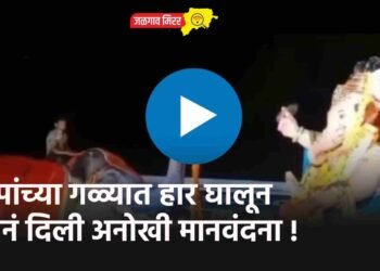 बाप्पांच्या गळ्यात हार घालून हत्तीनं दिली अनोखी मानवंदना !