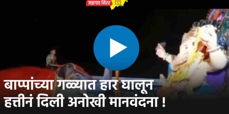 बाप्पांच्या गळ्यात हार घालून हत्तीनं दिली अनोखी मानवंदना !