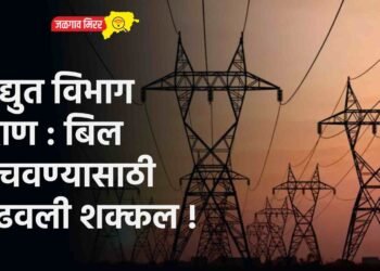 विद्युत विभाग हैराण : बिल वाचवण्यासाठी लढवली शक्कल !