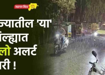 राज्यातील ‘या’ जिल्ह्यात येलो अलर्ट जारी !