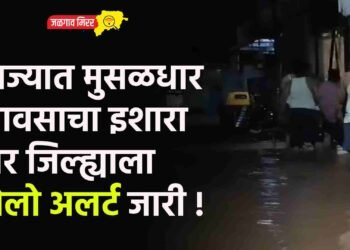 राज्यात मुसळधार पावसाचा इशारा तर जिल्ह्याला येलो अलर्ट जारी !