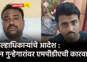 जिल्हाधिकाऱ्यांचे आदेश : दोन गुन्हेगारांवर एमपीडीएची कारवाई !