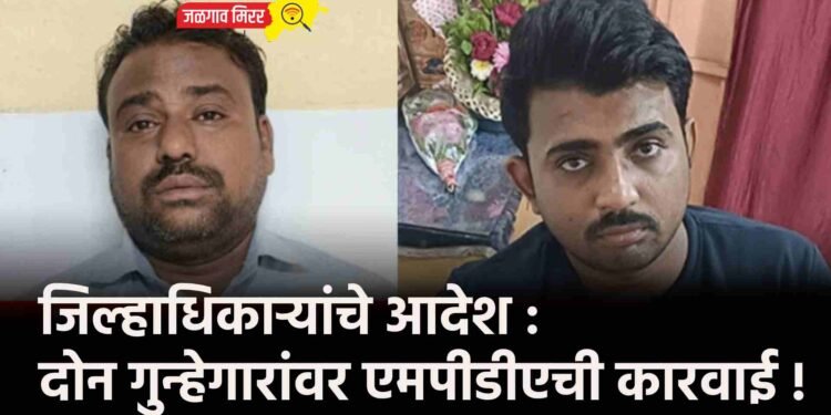 जिल्हाधिकाऱ्यांचे आदेश : दोन गुन्हेगारांवर एमपीडीएची कारवाई !