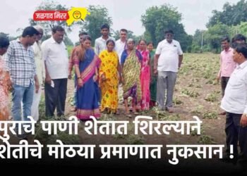 शेतीचे मोठया प्रमाणात नुकसान