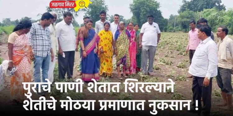 शेतीचे मोठया प्रमाणात नुकसान